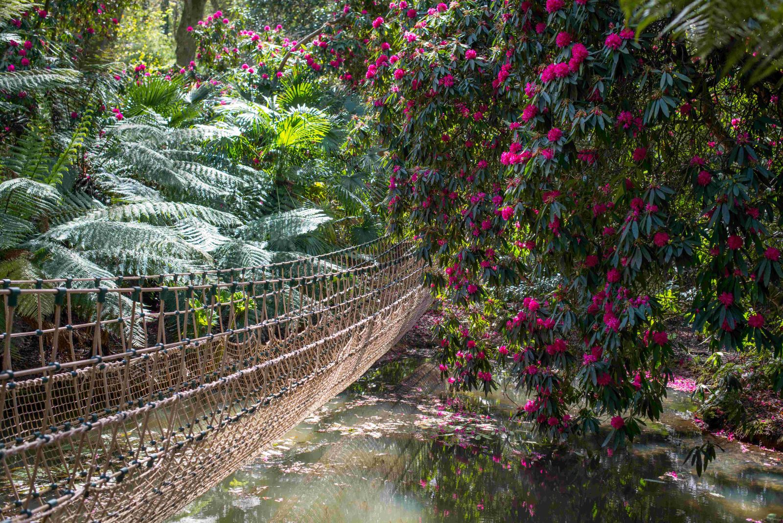 The Great Garden Trail of Dorset